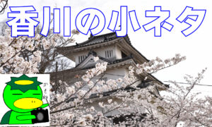 香川の小ネタ