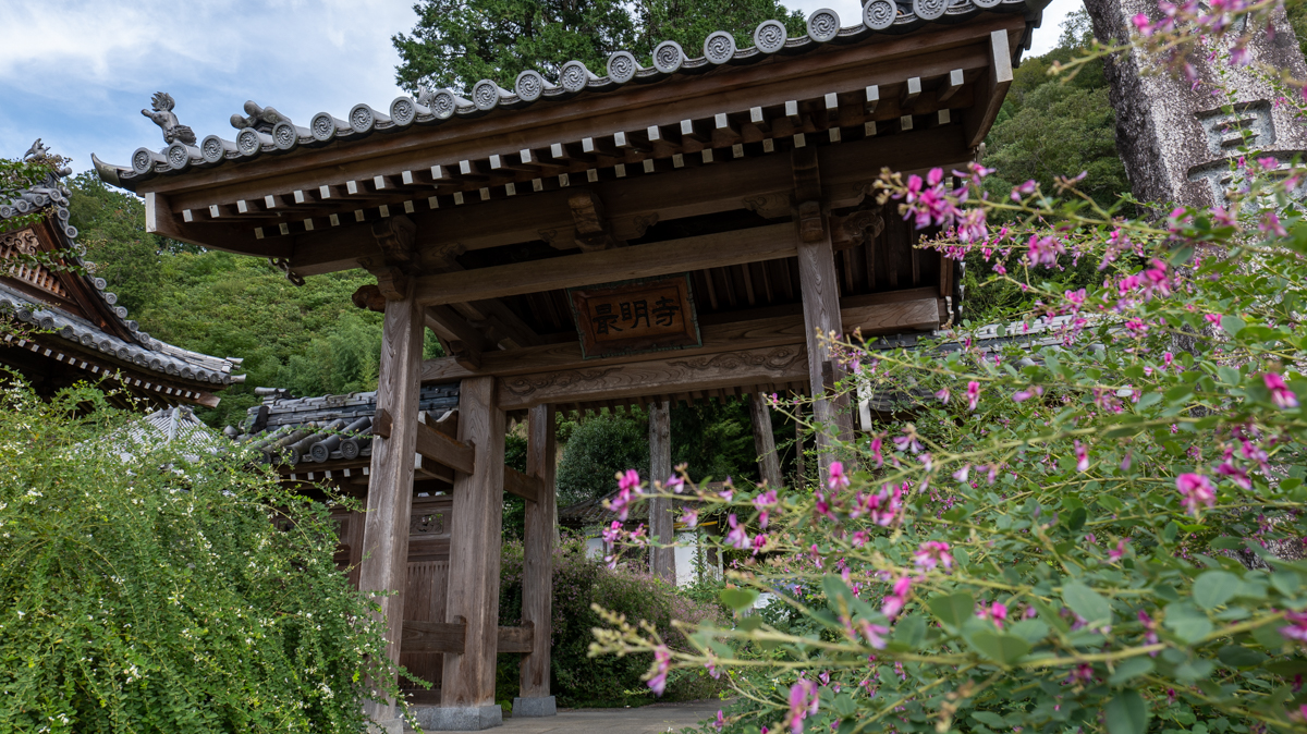 最明寺　萩の寺